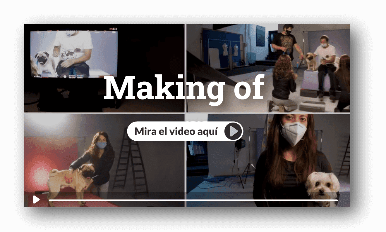 Vieo-Making_of